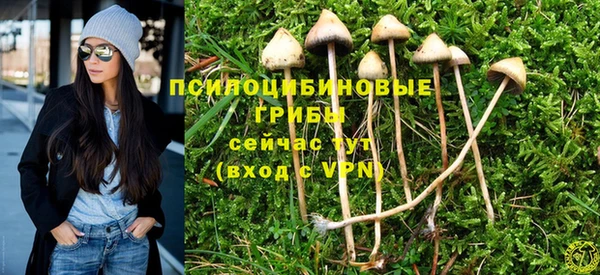 дживик Медногорск