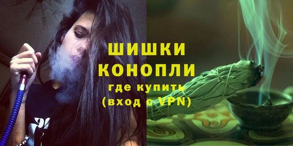 сатива Сафоново