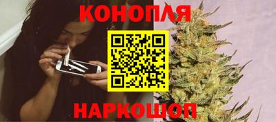 бошки Гай