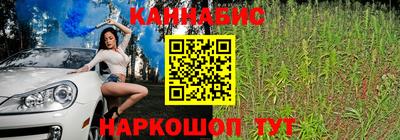 бошки Гай