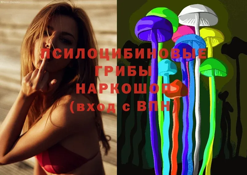 Псилоцибиновые грибы Psilocybe  как найти закладки  Переславль-Залесский 