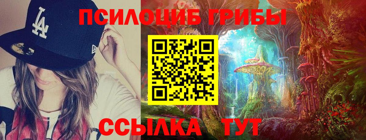 где продают наркотики  Переславль-Залесский  Псилоцибиновые грибы Magic Shrooms 