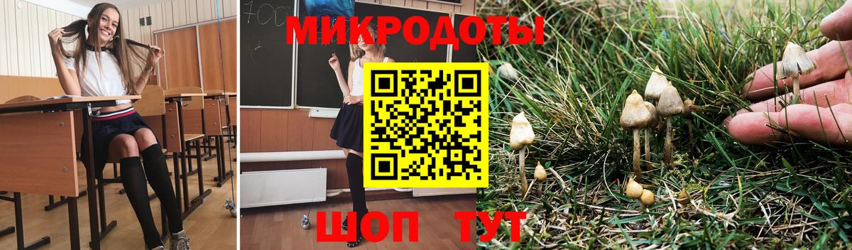 Переславль-Залесский  Псилоцибиновые грибы Cubensis  магазин продажи   Галлюциногенные грибы Psilocybe  Вход с VPN 