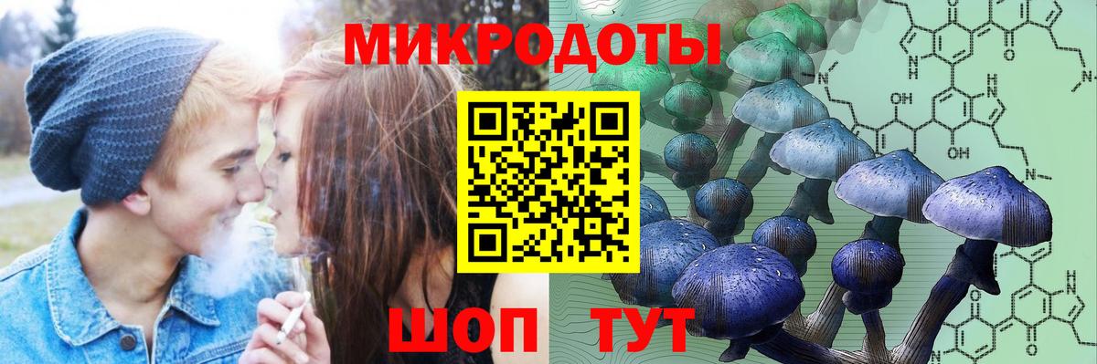 Псилоцибиновые грибы MAGIC MUSHROOMS Переславль-Залесский