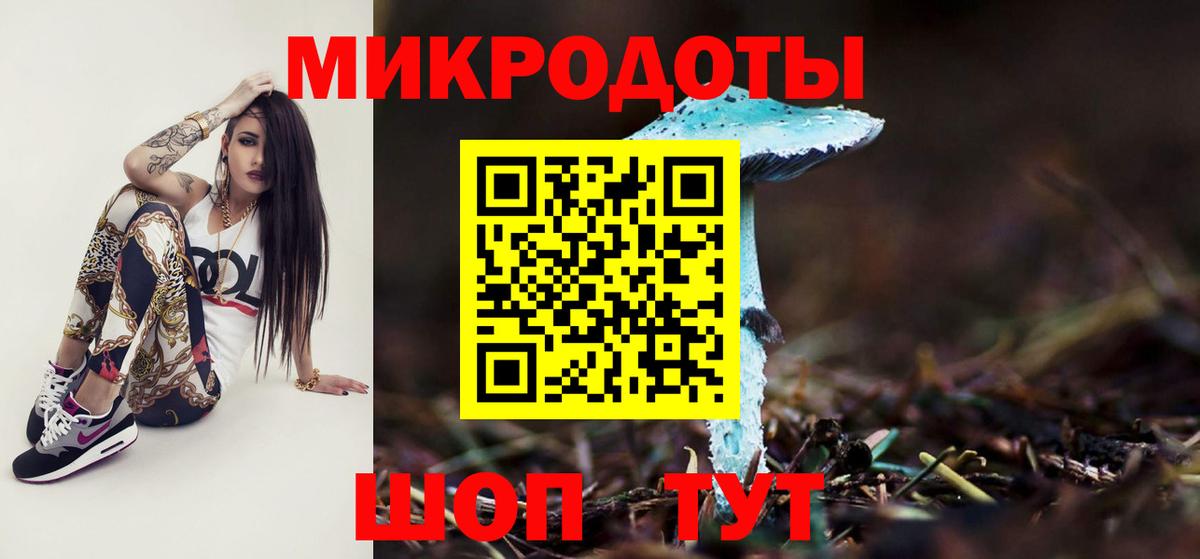 Псилоцибиновые грибы мухоморы Переславль-Залесский