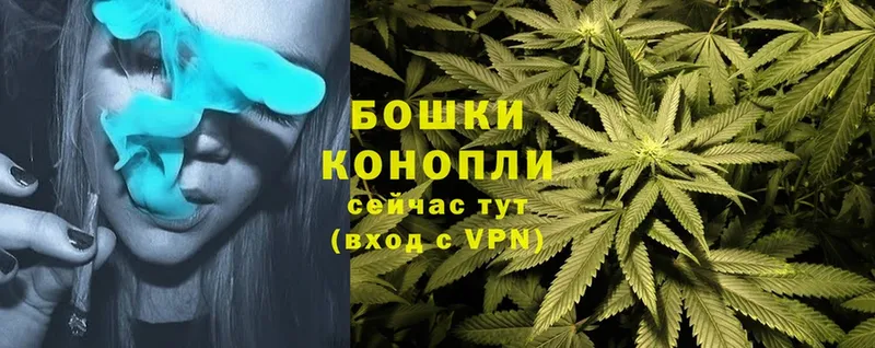 где купить   Переславль-Залесский  Каннабис OG Kush 