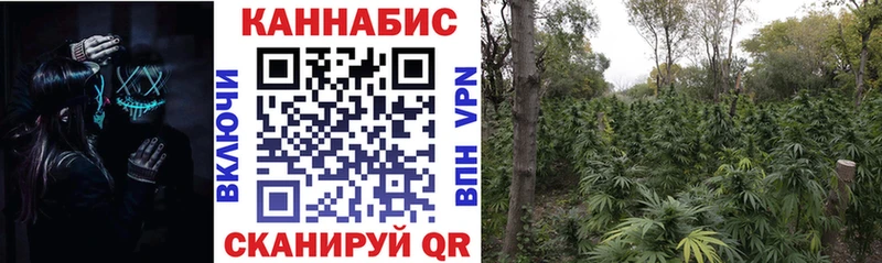 МЕГА вход  Переславль-Залесский  Бошки марихуана гибрид 